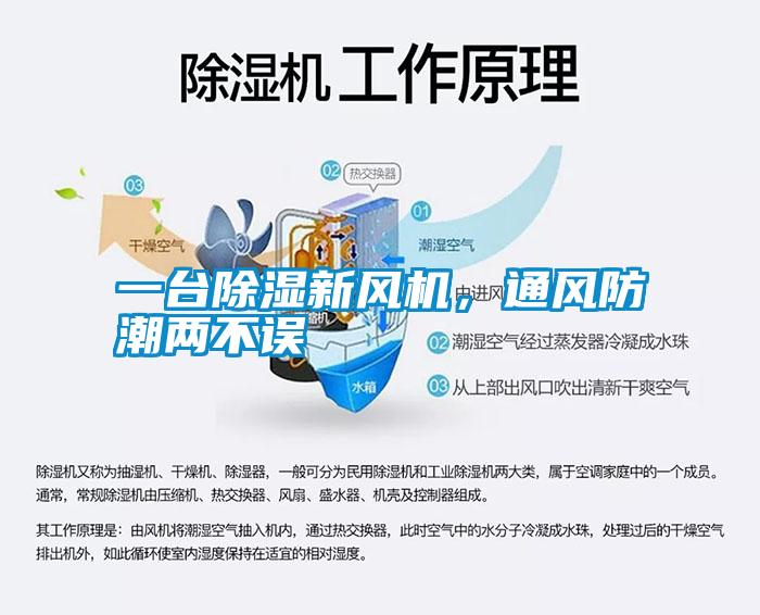 一臺除濕新風機，通風防潮兩不誤