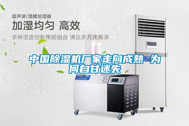 中國除濕機(jī)廠家走向成熟 為何自甘迷失