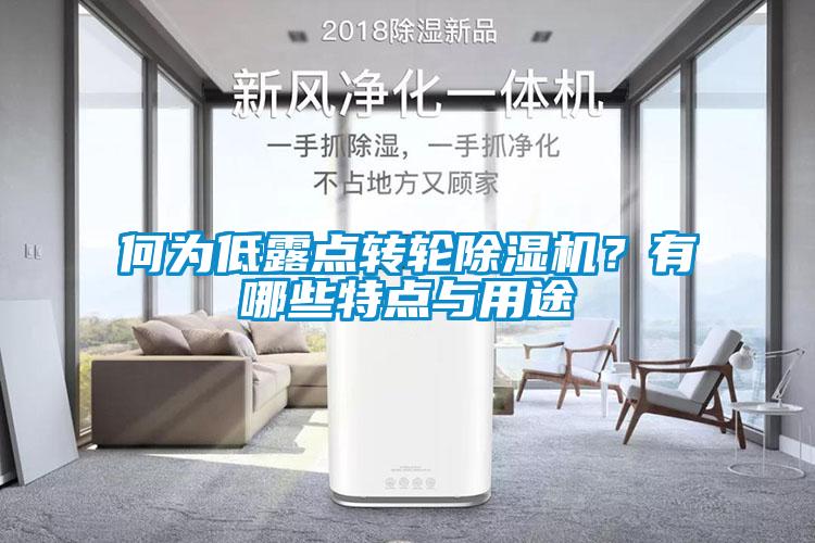 何為低露點轉(zhuǎn)輪除濕機？有哪些特點與用途