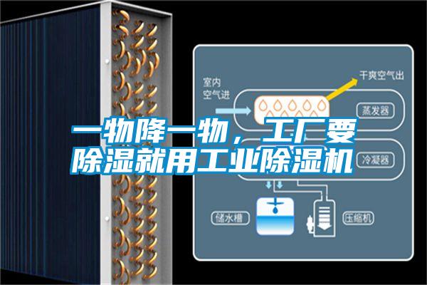 一物降一物，工廠要除濕就用工業除濕機