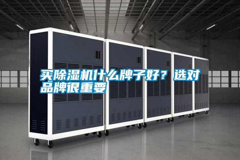 買除濕機什么牌子好？選對品牌很重要