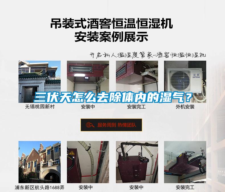 三伏天怎么去除體內的濕氣？