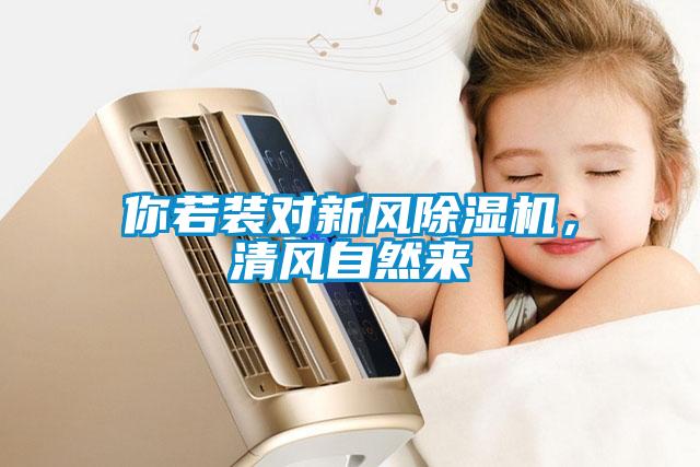 你若裝對(duì)新風(fēng)除濕機(jī)，清風(fēng)自然來(lái)