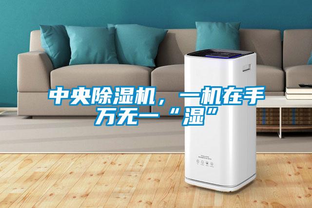 中央除濕機，一機在手萬無一“濕”