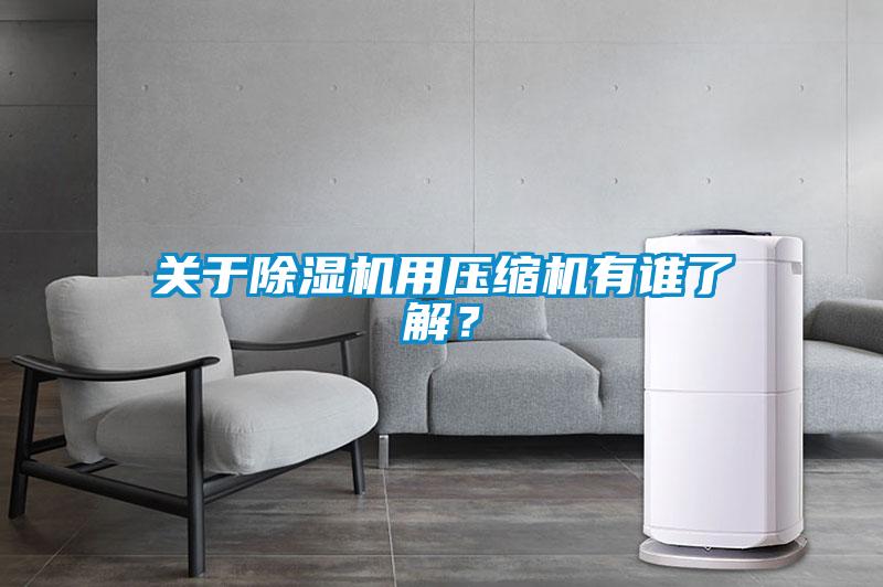 關于除濕機用壓縮機有誰了解？