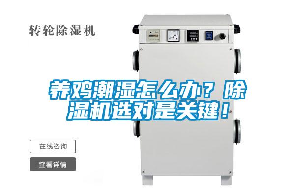 養(yǎng)雞潮濕怎么辦？除濕機(jī)選對(duì)是關(guān)鍵！