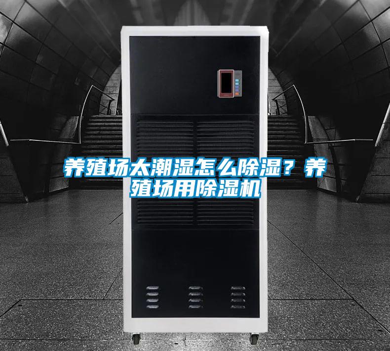 養殖場太潮濕怎么除濕？養殖場用除濕機