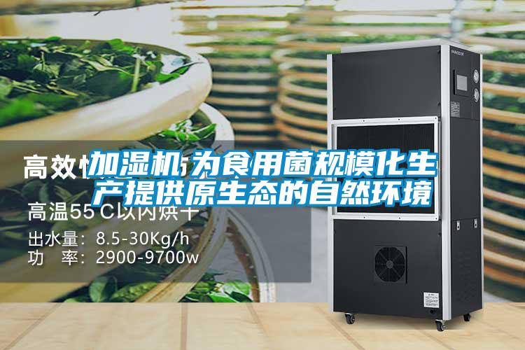 加濕機　為食用菌規?；a提供原生態的自然環境