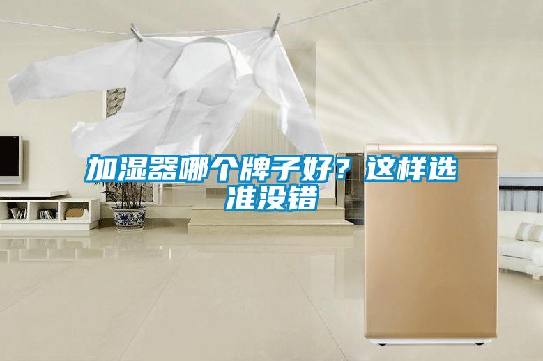 加濕器哪個牌子好？這樣選準沒錯