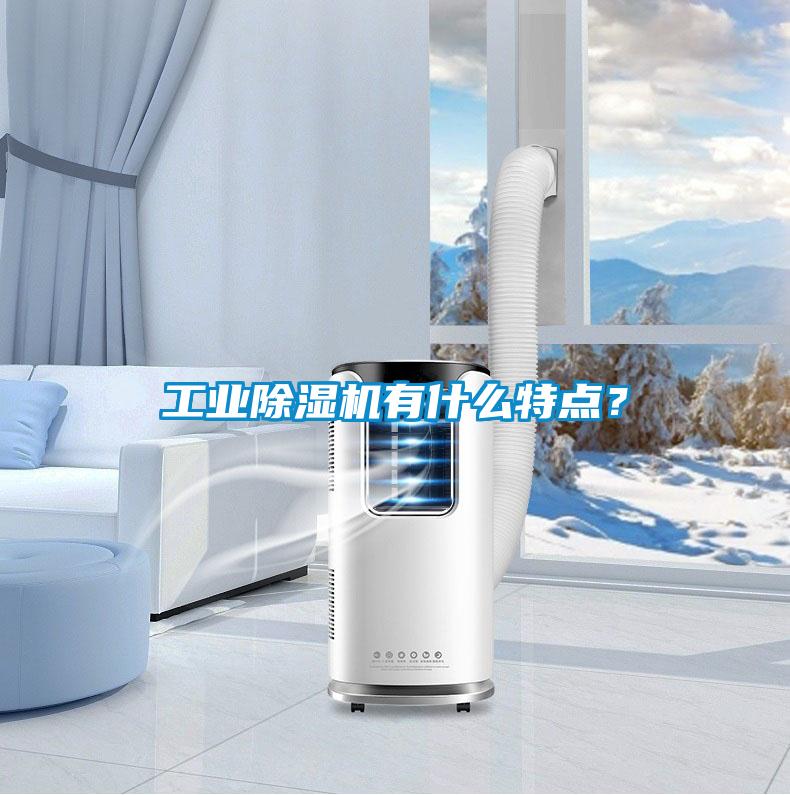 工業(yè)除濕機(jī)有什么特點(diǎn)？
