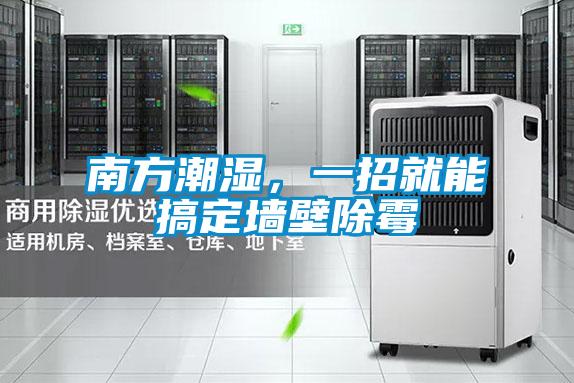 南方潮濕，一招就能搞定墻壁除霉