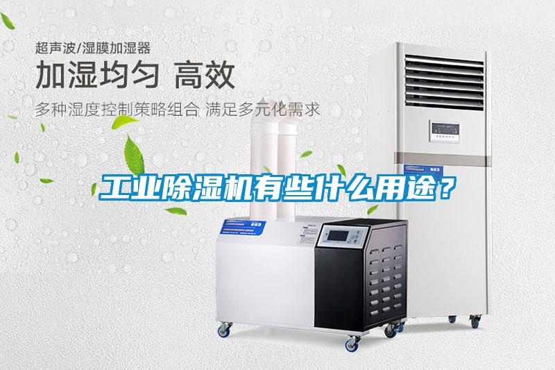 工業除濕機有些什么用途？