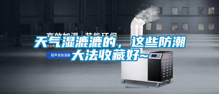 天氣濕漉漉的，這些防潮大法收藏好~