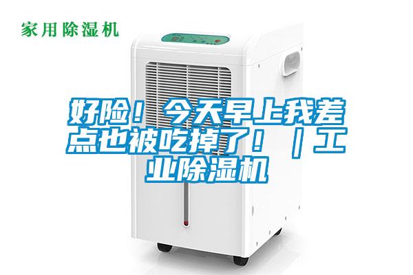 好險！今天早上我差點也被吃掉了?。I除濕機
