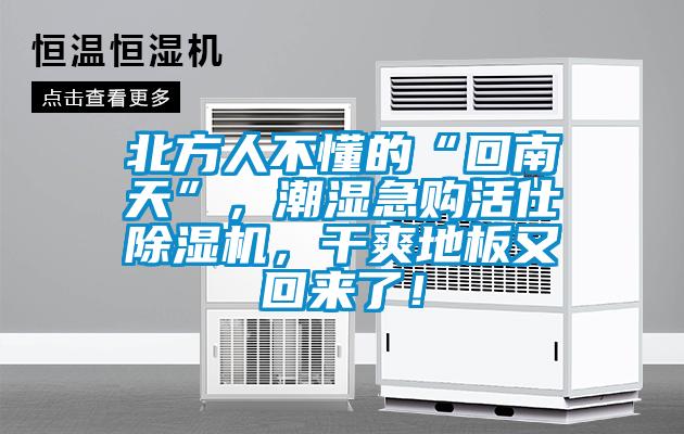 北方人不懂的“回南天”，潮濕急購活仕除濕機(jī)，干爽地板又回來了！