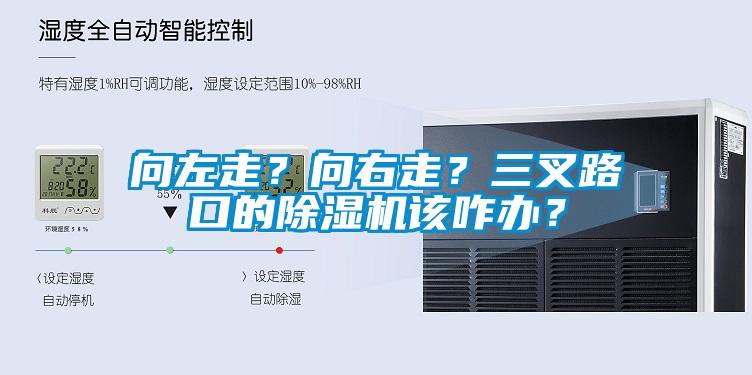 向左走?向右走?三叉路口的除濕機該咋辦?