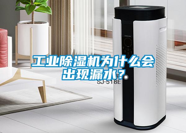 工業(yè)除濕機(jī)為什么會(huì)出現(xiàn)漏水？