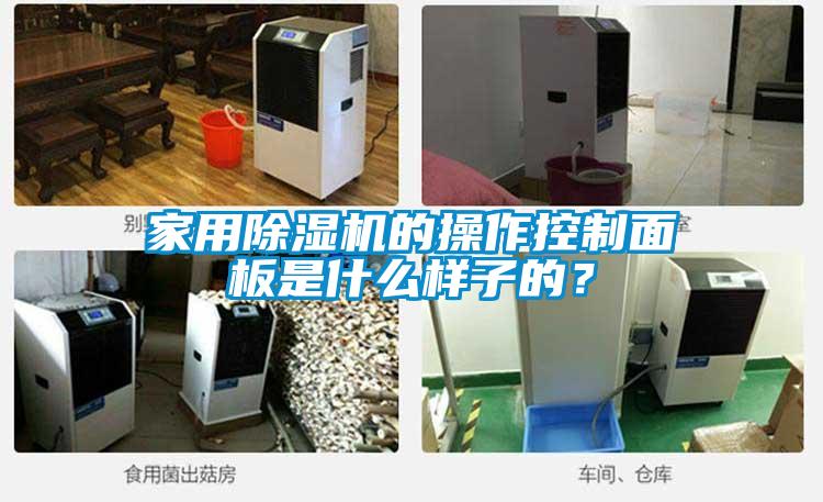 家用除濕機的操作控制面板是什么樣子的？