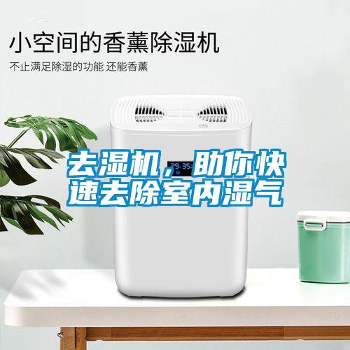 去濕機，助你快速去除室內濕氣