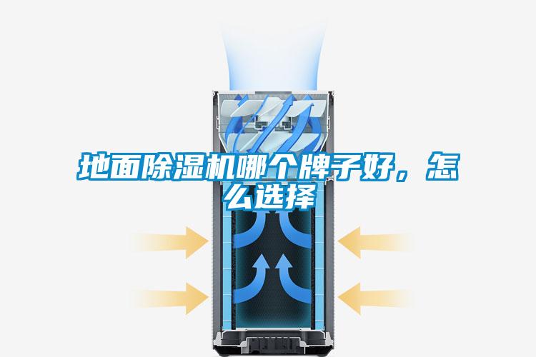 地面除濕機哪個牌子好，怎么選擇