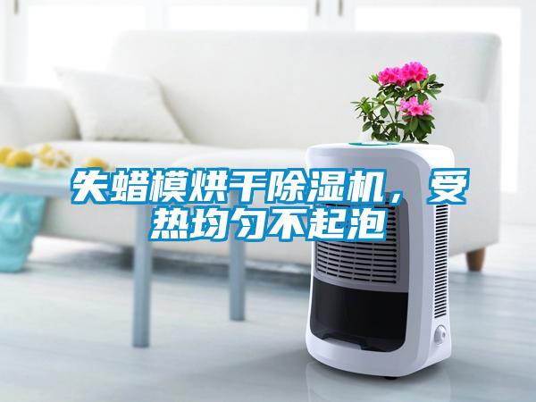 失蠟模烘干除濕機，受熱均勻不起泡