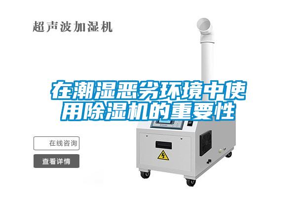 在潮濕惡劣環境中使用除濕機的重要性
