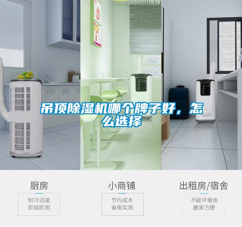 吊頂除濕機(jī)哪個牌子好,怎么選擇