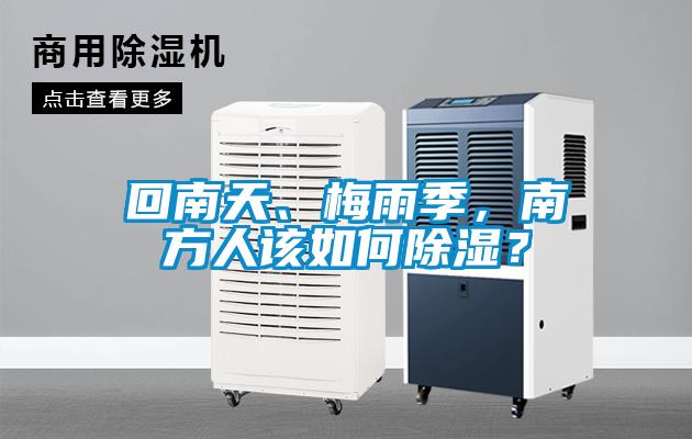 回南天、梅雨季，南方人該如何除濕？