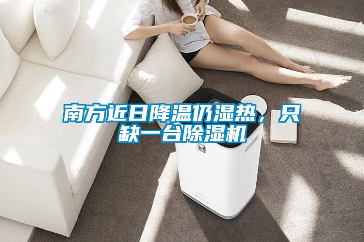 南方近日降溫仍濕熱，只缺一臺除濕機