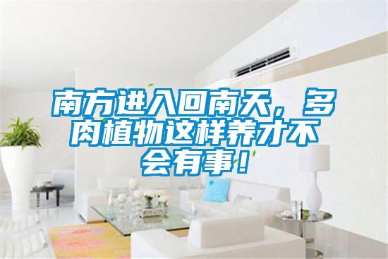 南方進入回南天，多肉植物這樣養才不會有事！