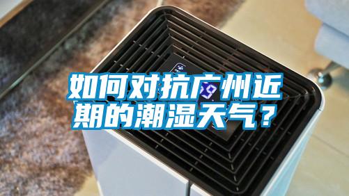 如何對抗廣州近期的潮濕天氣？