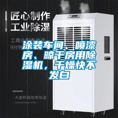 涂裝車間、噴漆房、晾干房用除濕機(jī)，干燥快不發(fā)白