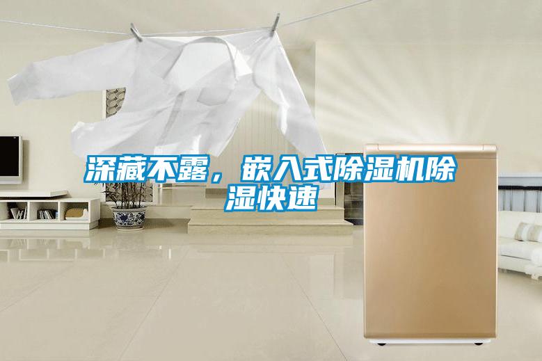 深藏不露，嵌入式除濕機(jī)除濕快速