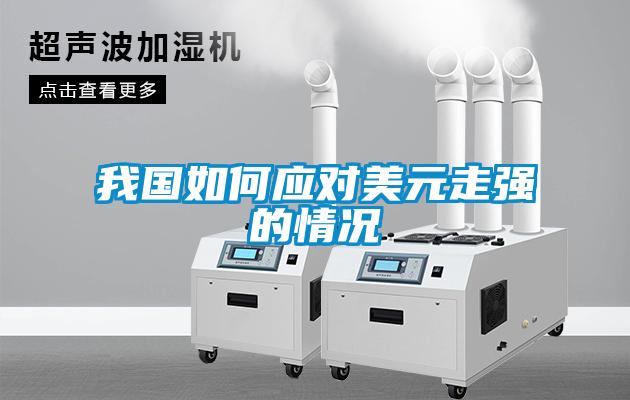 我國如何應對美元走強的情況