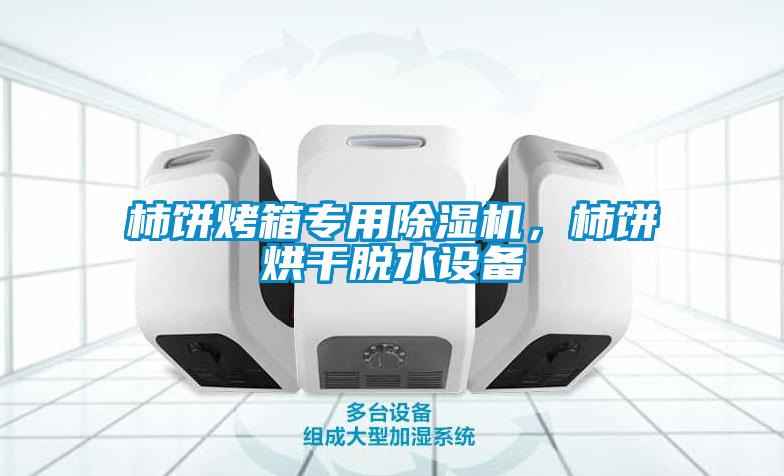 柿餅烤箱專用除濕機,柿餅烘干脫水設備