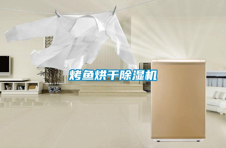 烤魚(yú)烘干除濕機(jī)