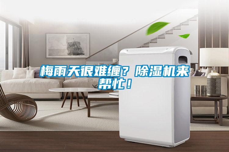 梅雨天很難纏？除濕機(jī)來(lái)幫忙！