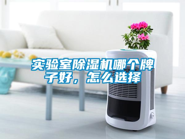 實(shí)驗(yàn)室除濕機(jī)哪個(gè)牌子好，怎么選擇