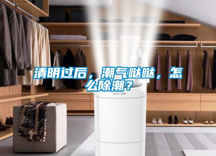 清明過后，潮氣噠噠，怎么除潮？