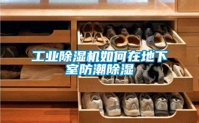 工業(yè)除濕機如何在地下室防潮除濕