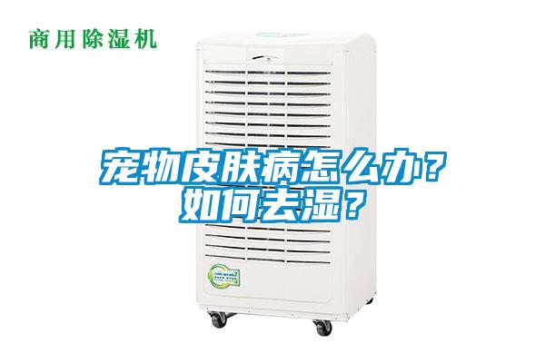 寵物皮膚病怎么辦？如何去濕？