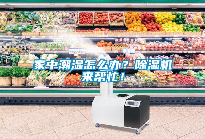 家中潮濕怎么辦？除濕機來幫忙！