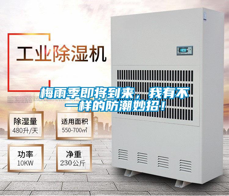 梅雨季即將到來(lái),我有不一樣的防潮妙招!