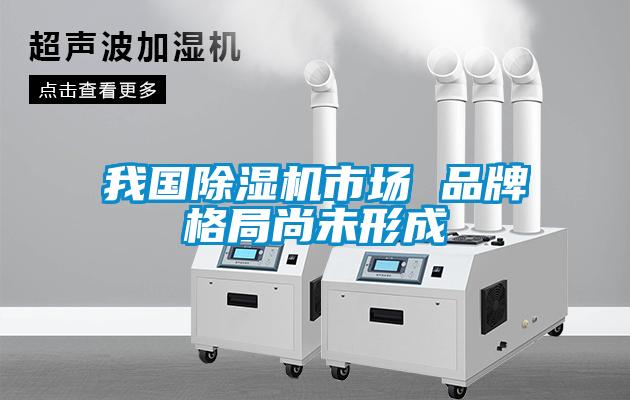 我國除濕機市場 品牌格局尚未形成