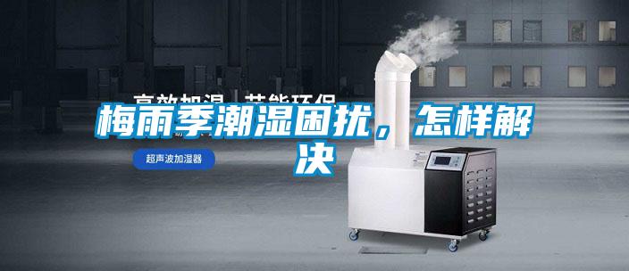 梅雨季潮濕困擾，怎樣解決