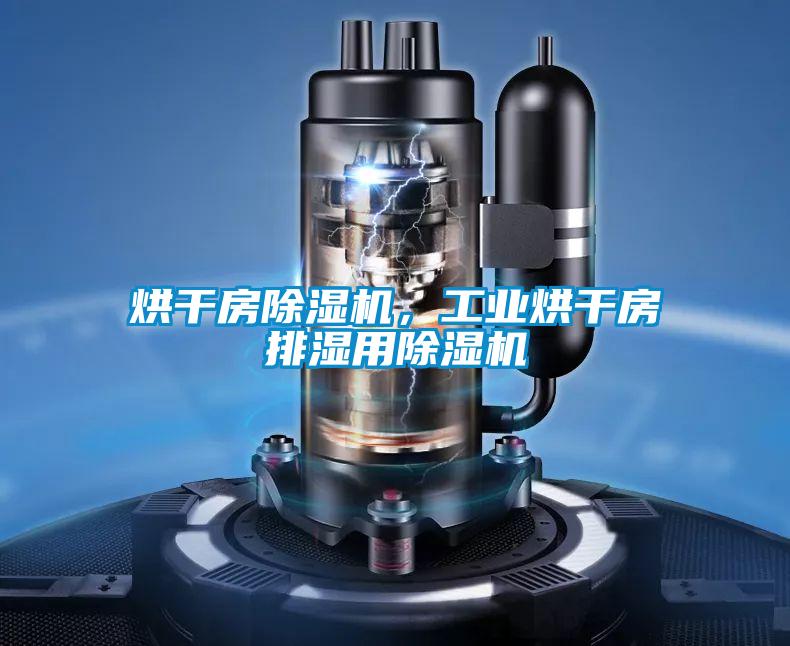 烘干房除濕機,工業烘干房排濕用除濕機