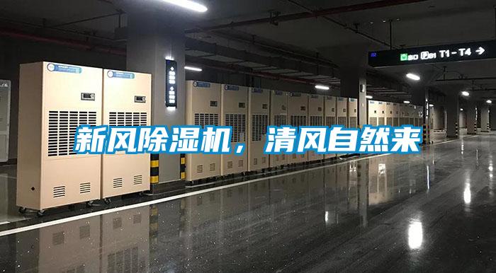新風(fēng)除濕機(jī)，清風(fēng)自然來