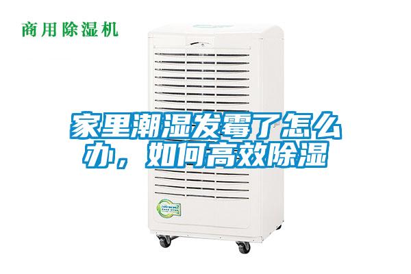 家里潮濕發(fā)霉了怎么辦，如何高效除濕