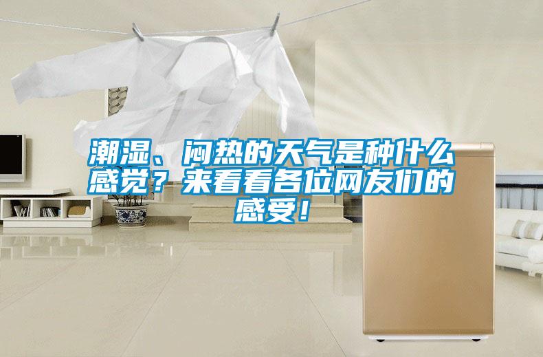 潮濕、悶熱的天氣是種什么感覺？來看看各位網(wǎng)友們的感受！