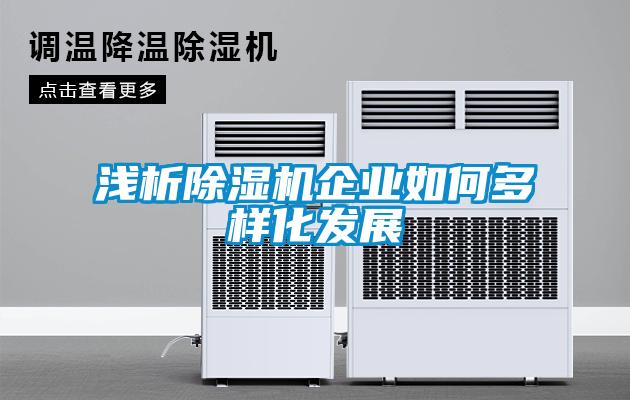 淺析除濕機企業(yè)如何多樣化發(fā)展